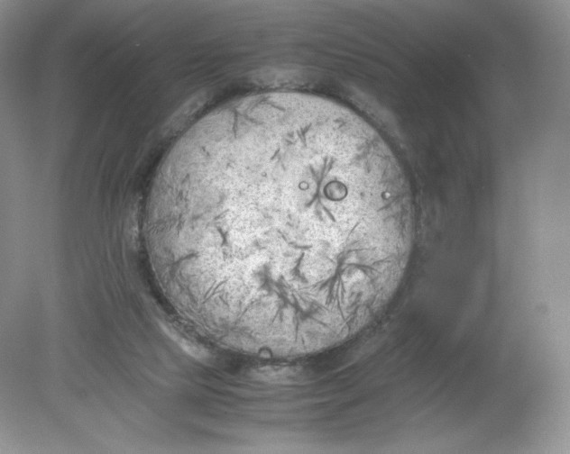 X0000078880065200612042035