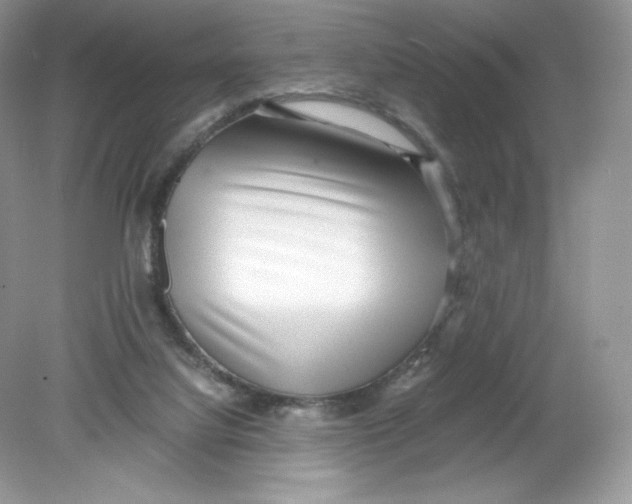 X0000078880068200612042035