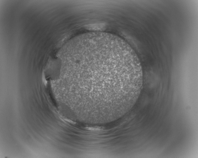 X0000078880069200612042035