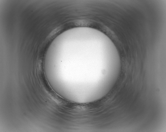 X0000078880071200612042035