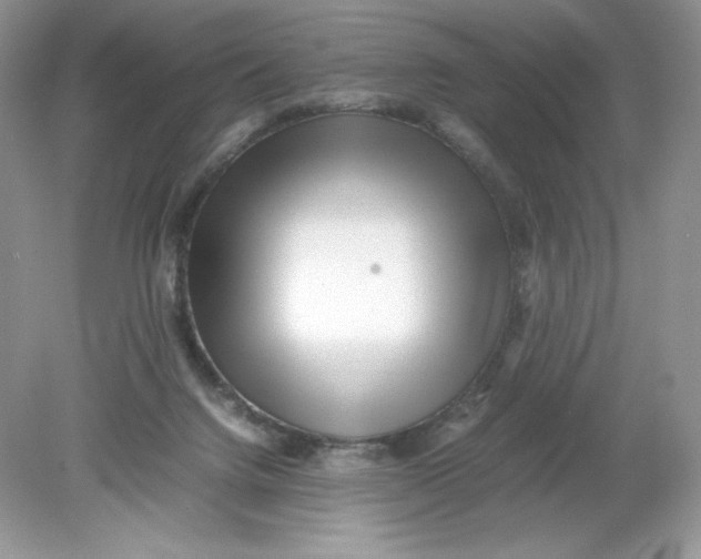 X0000078880072200612042035