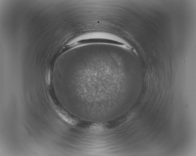 X0000078880076200612042035