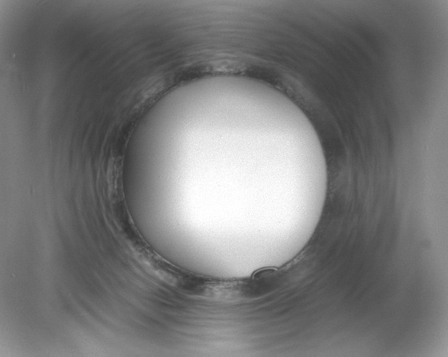 X0000078880078200612042035