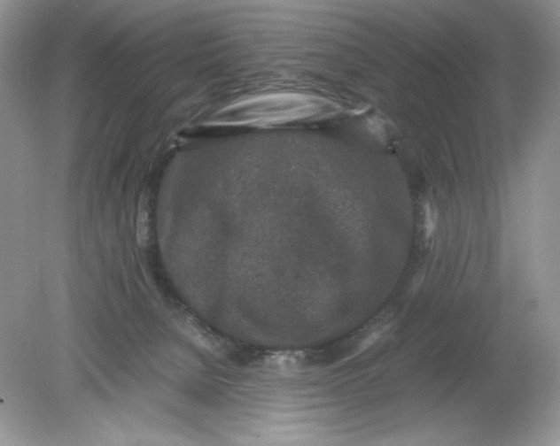 X0000078880080200612042035