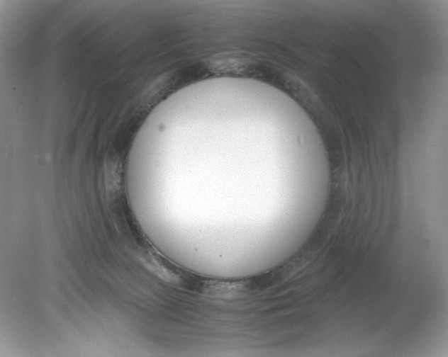 X0000078880081200612042035