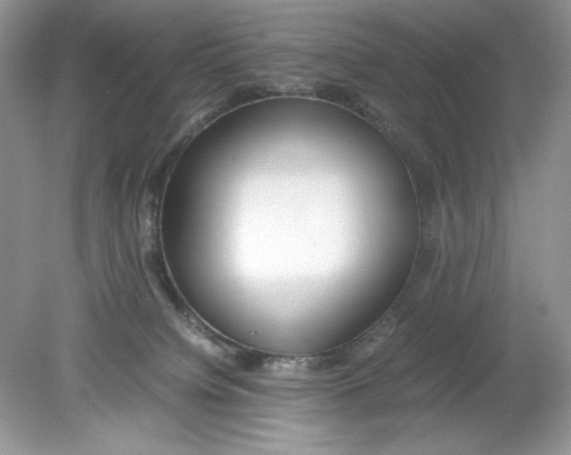 X0000078880084200612042035