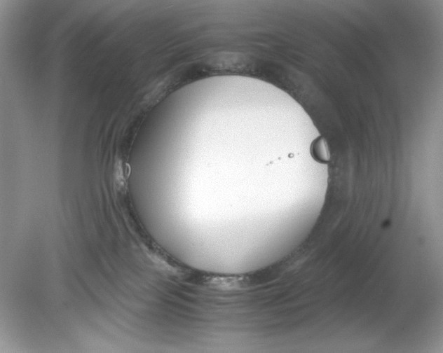 X0000078880089200612042035