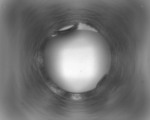 X0000078880091200612042035