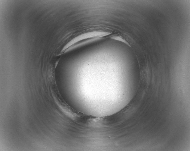 X0000078880092200612042035