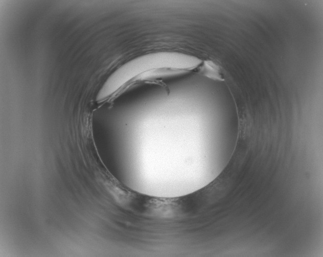 X0000078880093200612042035