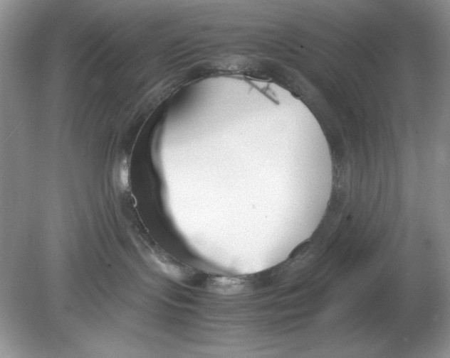 X0000078880095200612042035