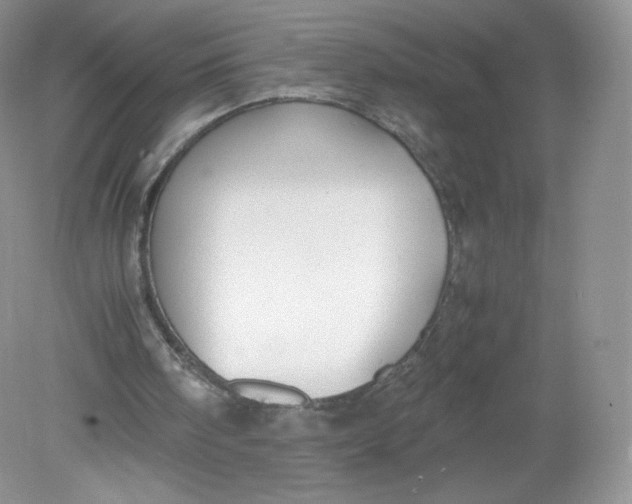 X0000078880098200612042035