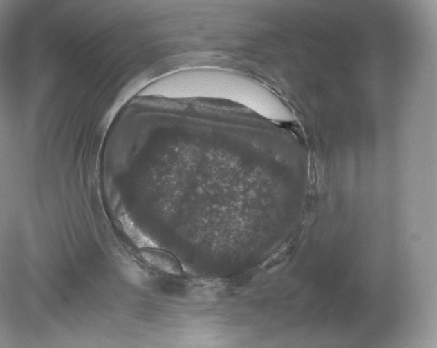 X0000078880099200612042035