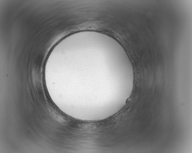 X0000078880100200612042034