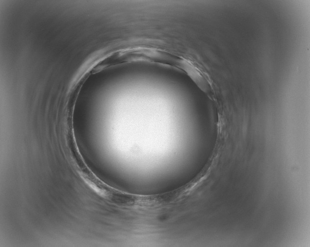 X0000078880101200612042034