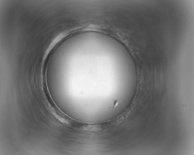 X0000078880102200612042034