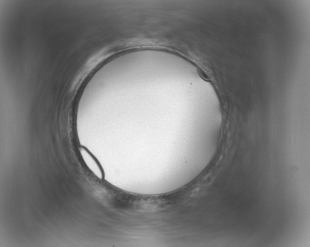 X0000078880103200612042034