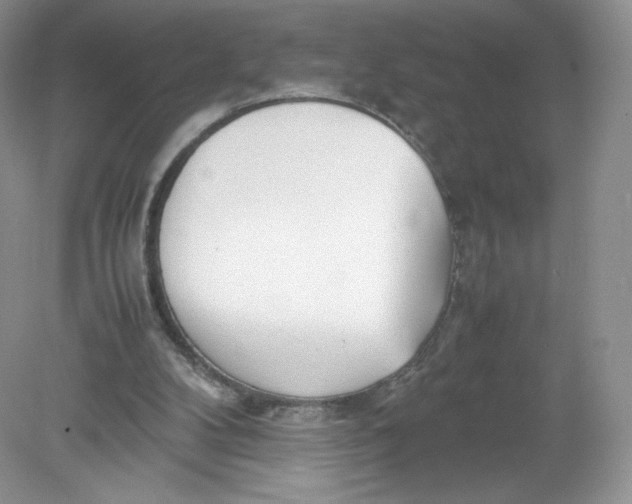 X0000078880104200612042034