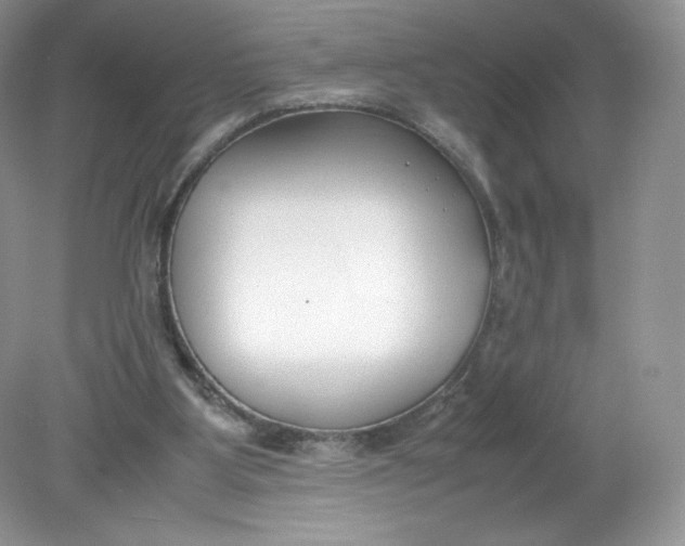 X0000078880107200612042034