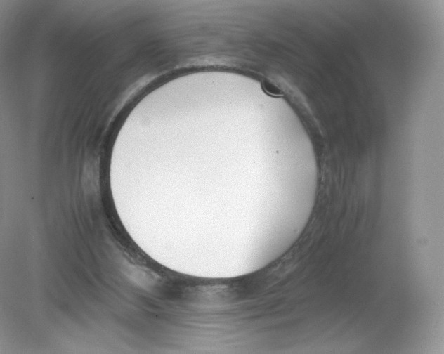 X0000078880108200612042034