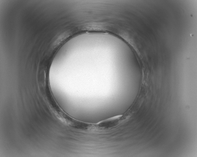 X0000078880109200612042034