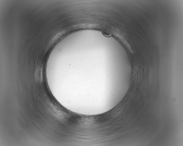 X0000078880110200612042034