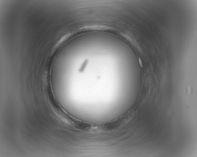 X0000078880111200612042034