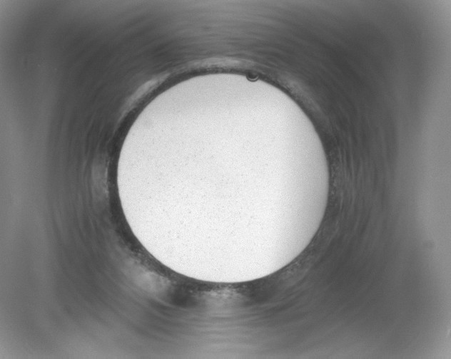 X0000078880112200612042034