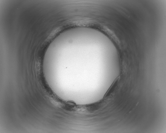 X0000078880113200612042034