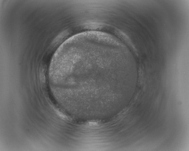 X0000078880114200612042034