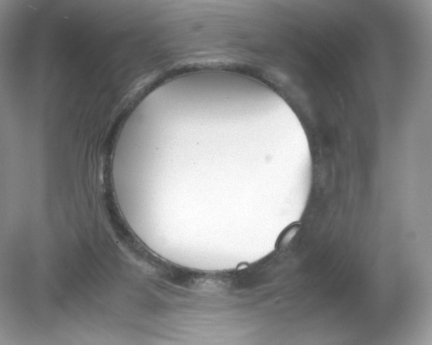 X0000078880115200612042034