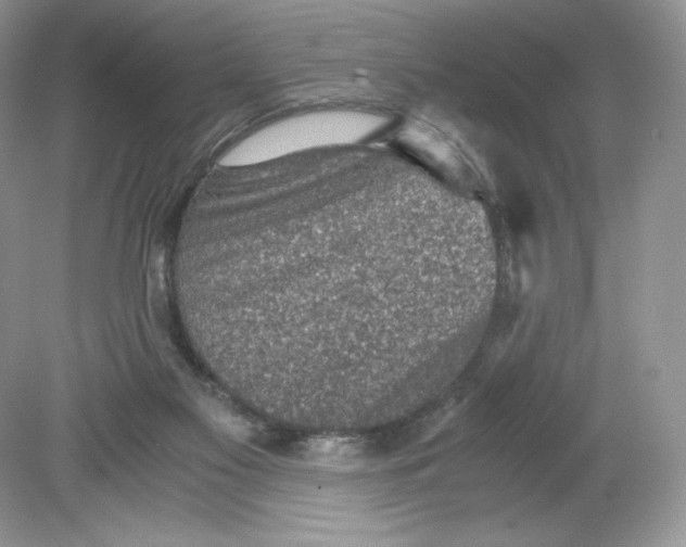 X0000078880117200612042034