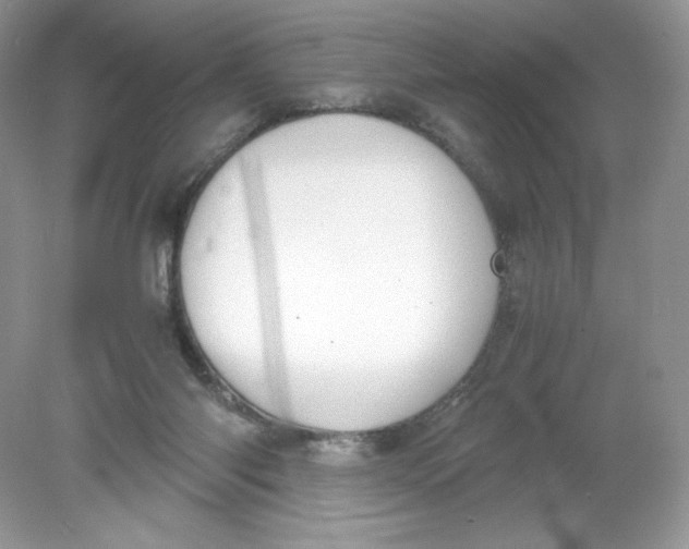 X0000078880118200612042034