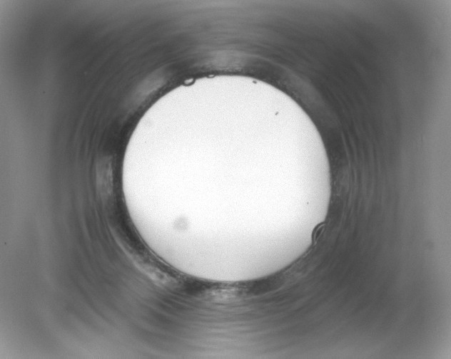 X0000078880120200612042034