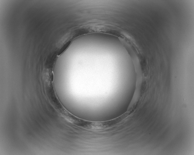 X0000078880121200612042034