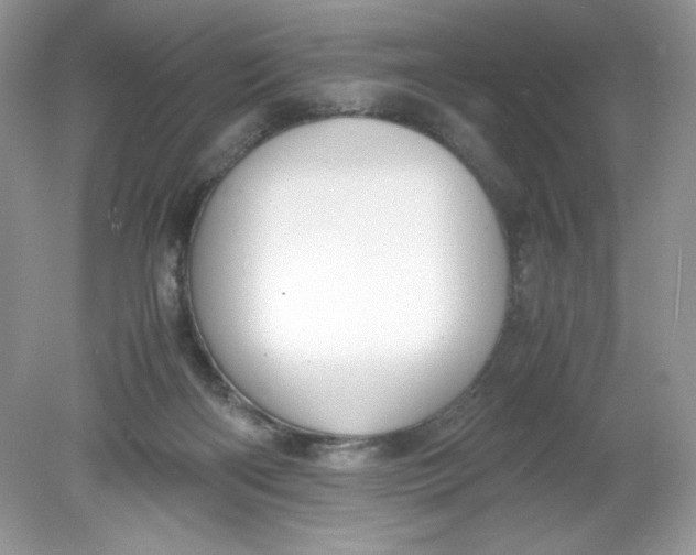 X0000078880122200612042034