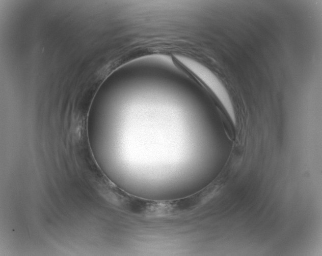 X0000078880125200612042034