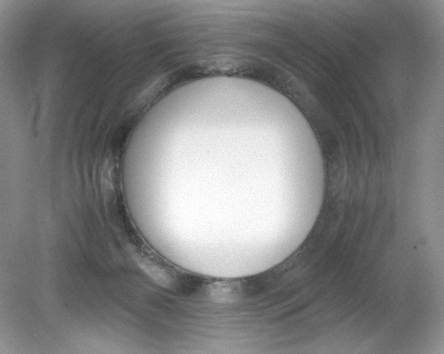 X0000078880126200612042034