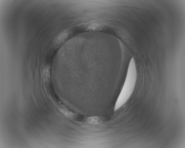 X0000078880127200612042034