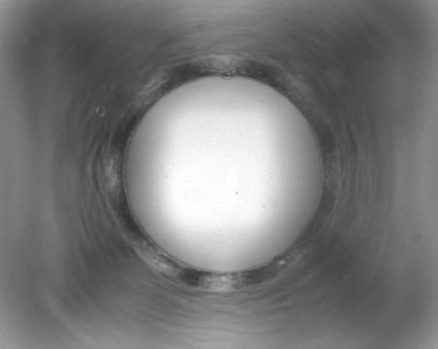 X0000078880131200612042034