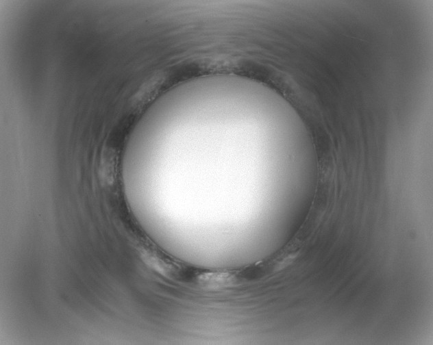 X0000078880133200612042034