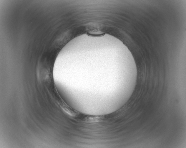 X0000078880134200612042034