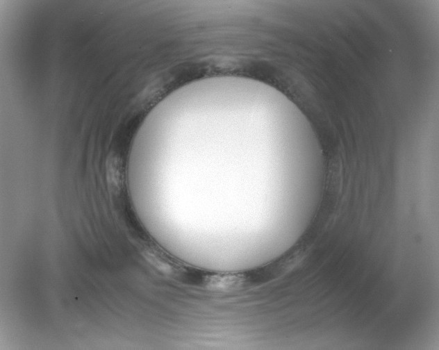 X0000078880135200612042034