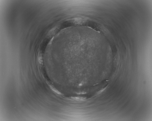 X0000078880137200612042034