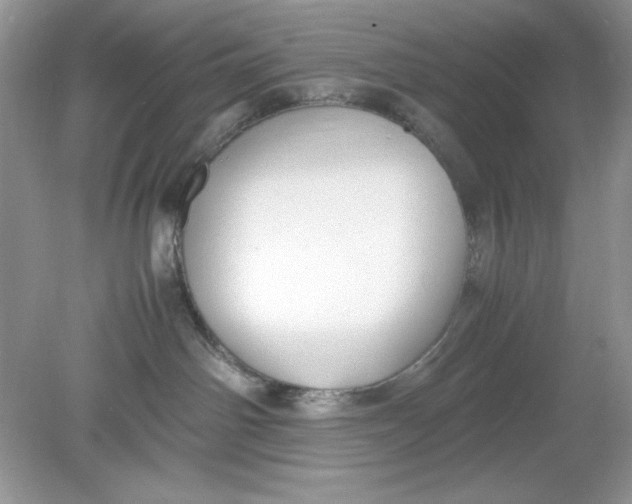 X0000078880142200612042034