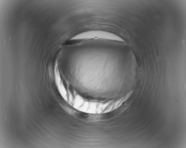 X0000078880143200612042034