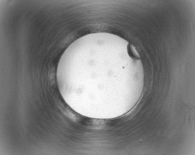 X0000078880144200612042034