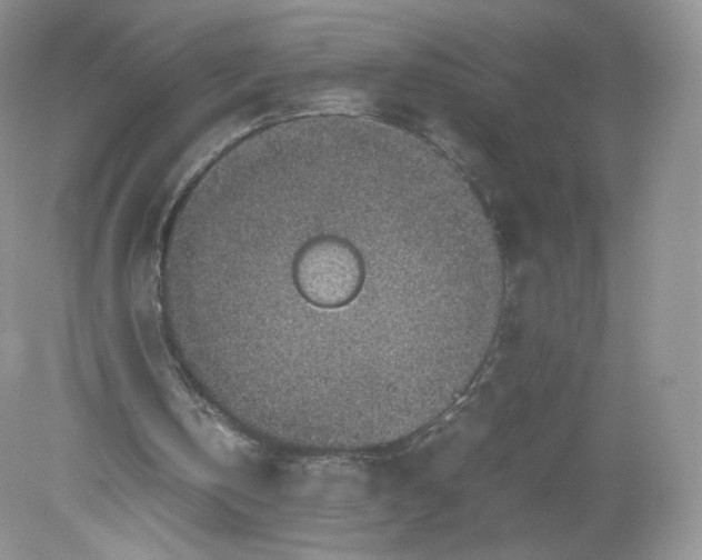 X0000078880146200612042033