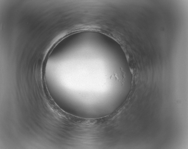 X0000078880148200612042033