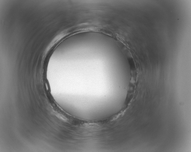 X0000078880150200612042033